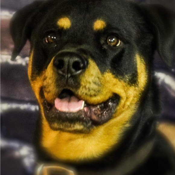 Meet your Posher, Janet - Picture 10 of 12